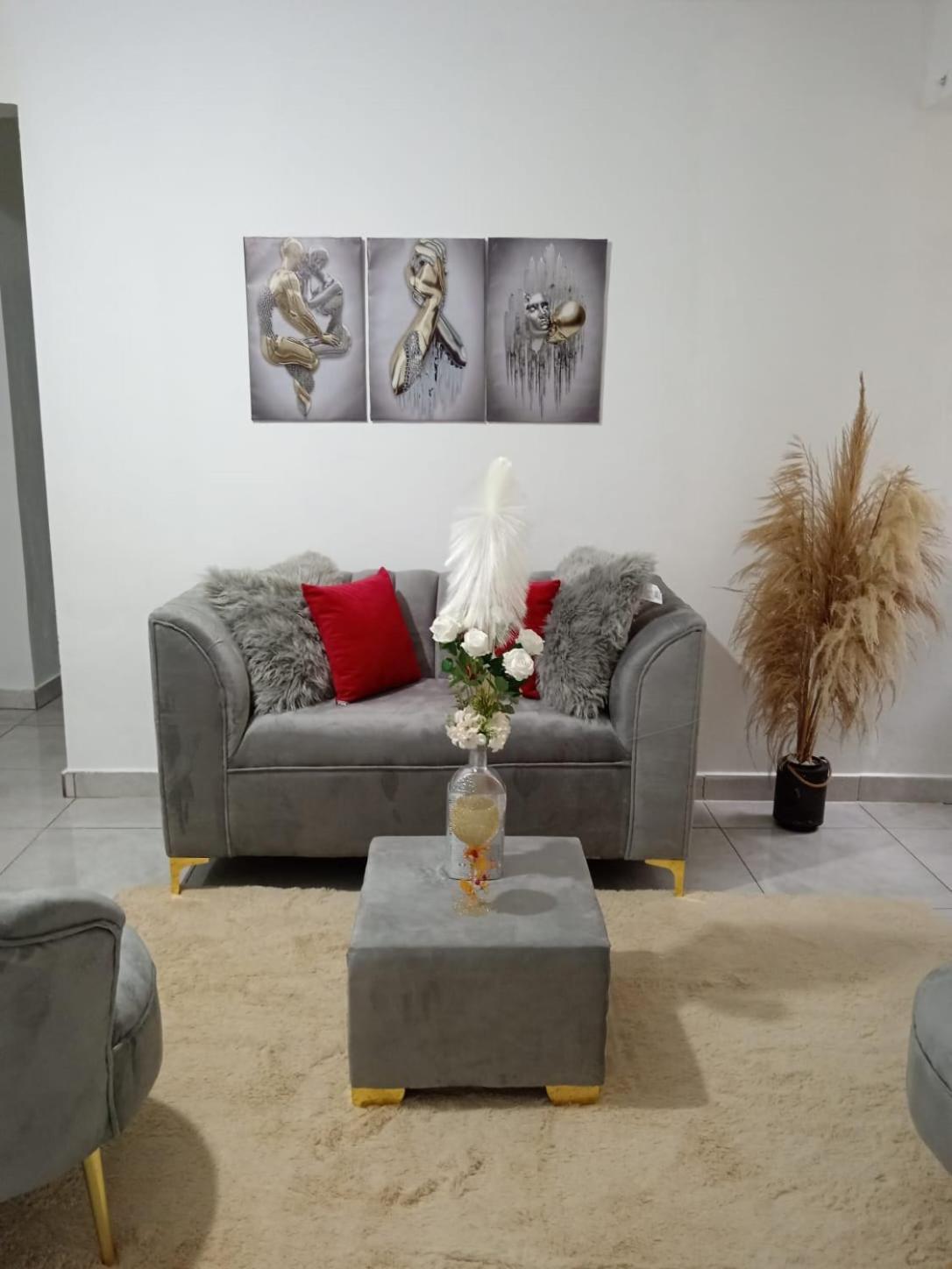 Apartamentos De 1 2 Y 3 Habitaciones Santiago De Los Caballeros Esterno foto