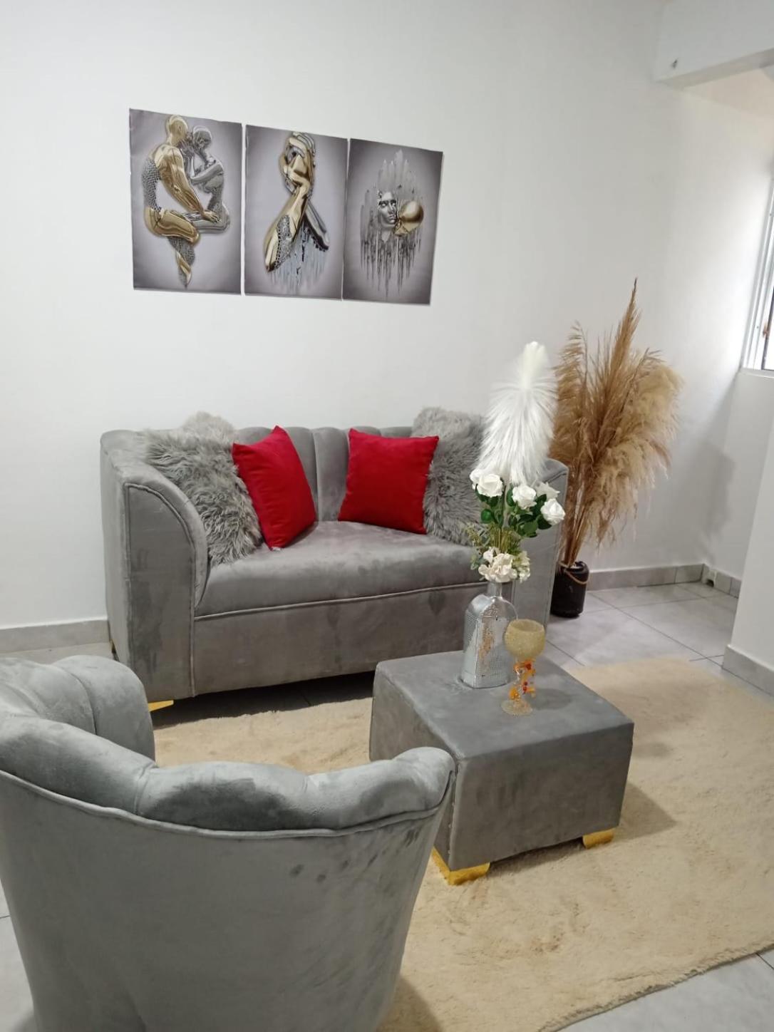 Apartamentos De 1 2 Y 3 Habitaciones Santiago De Los Caballeros Esterno foto